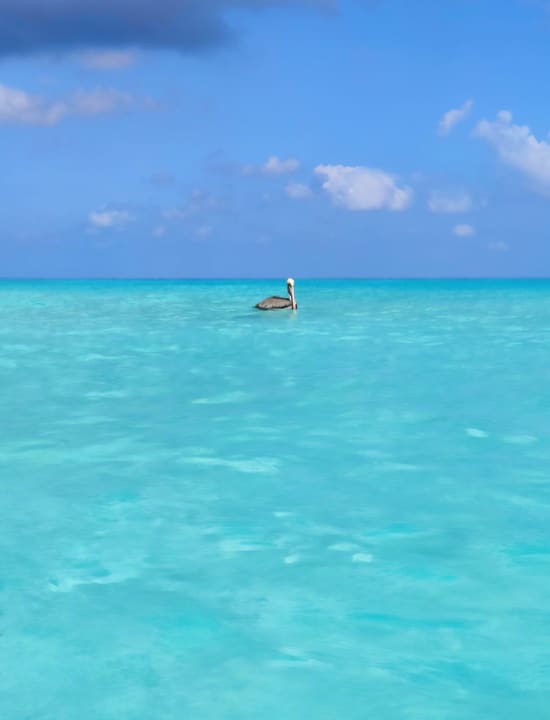 Strand Barcelo Solymar