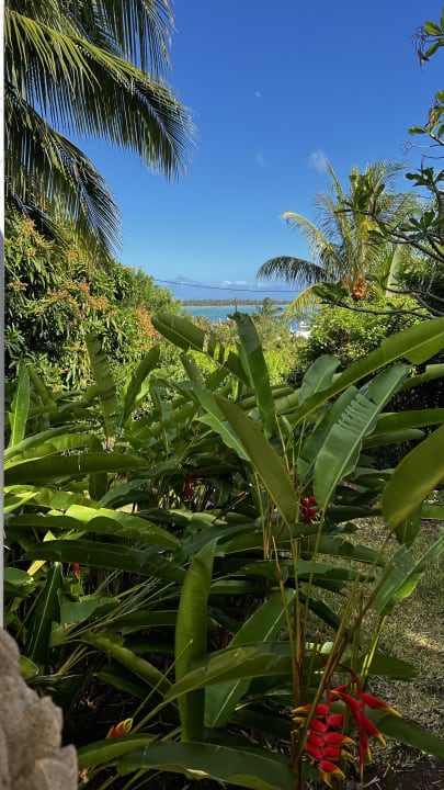 Gartenanlage Villa Seewoo