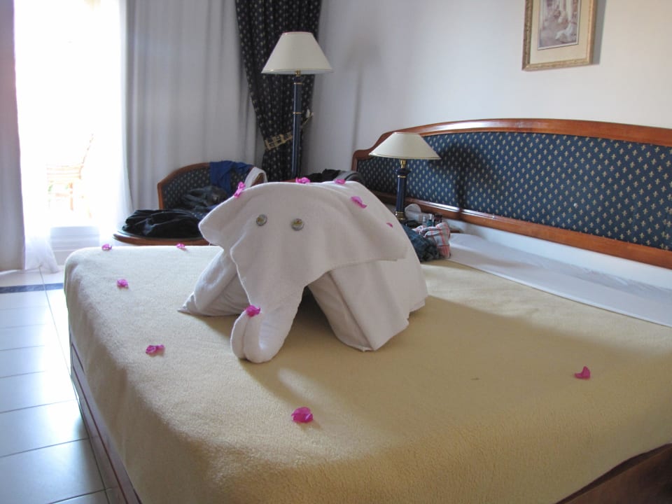 Sauber und aufgeräumt Desert Rose