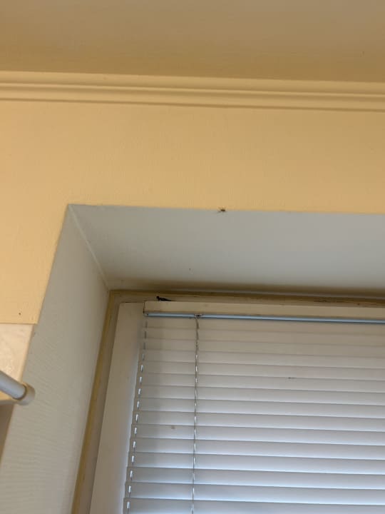 Zimmer Entrée Groß Borstel Garni Hotel