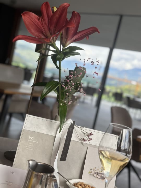 Gastro Hotel Winkler