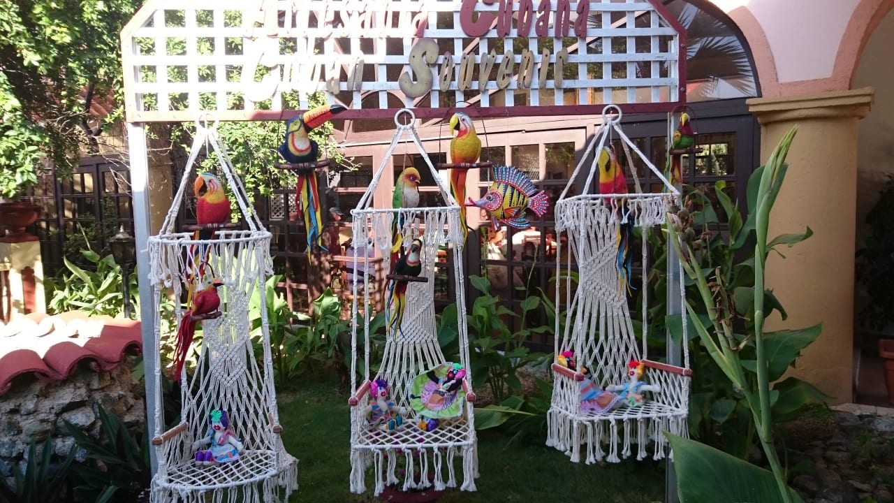 Im Hotel Starfish Cuatro Palmas