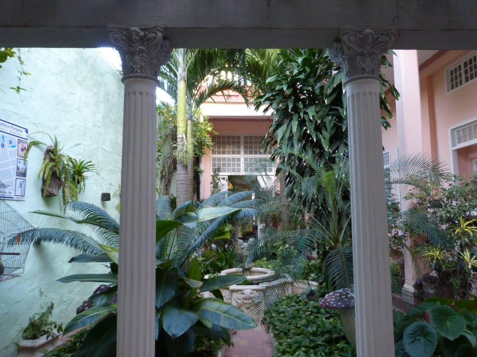 Inner courtyard Hostal Autentica Pergola