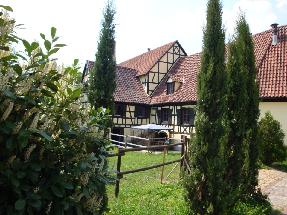 Haupthaus und Ferienhaus Gartenseite Gästezimmer im schönen Elsaß