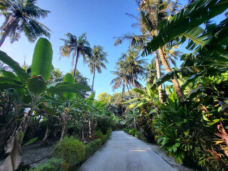 Gartenanlage Adaaran Select Hudhuran Fushi - Premium All Inclusive