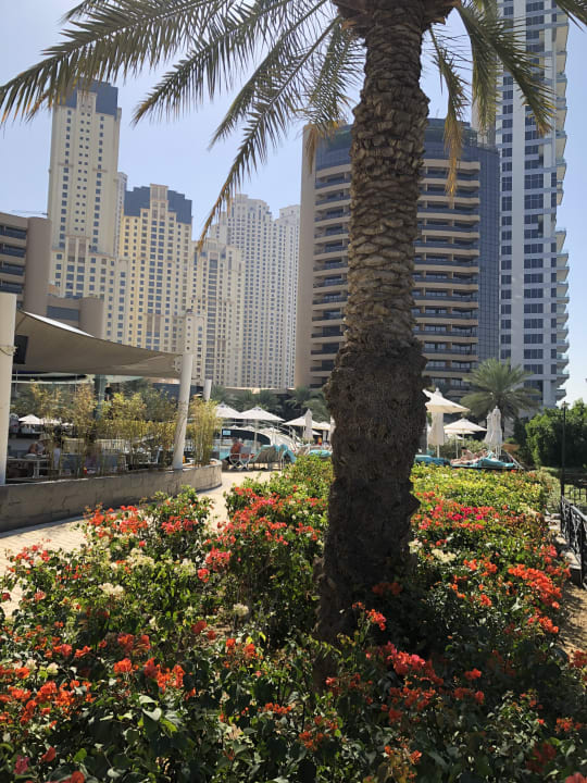 Außenansicht Le Royal Méridien Beach Resort & Spa Dubai