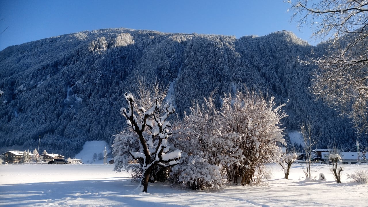 Ausblick Apartments Rosenhof