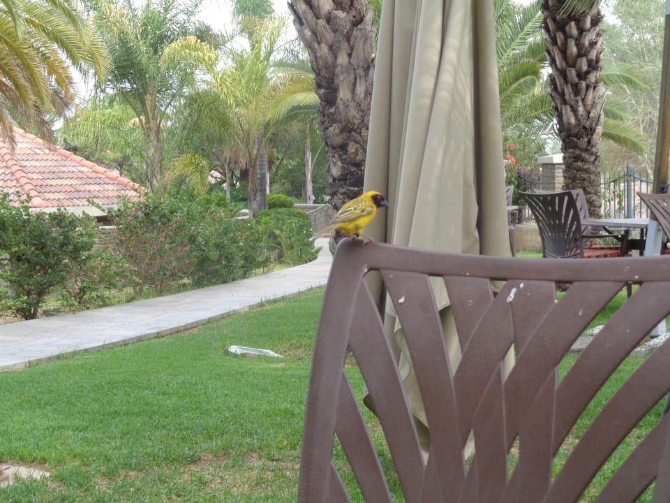 Gartenanlage Safari Court Hotel