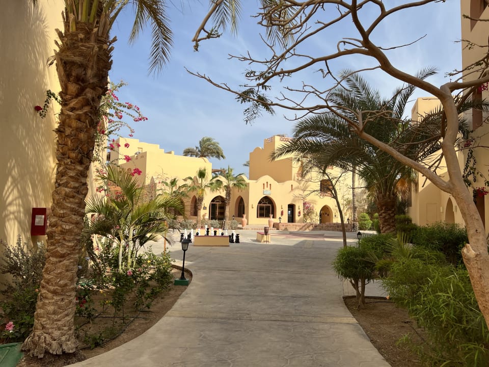 Gartenanlage Steigenberger Coraya Beach - Adults only