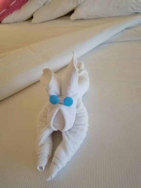 Zimmer Seven Seas Jolie Bay Resort