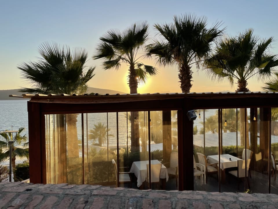 Ausblick TUI MAGIC LIFE Bodrum - Adult Only (16+)