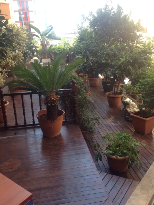 Gartenanlage Tac Premier Hotel & Spa