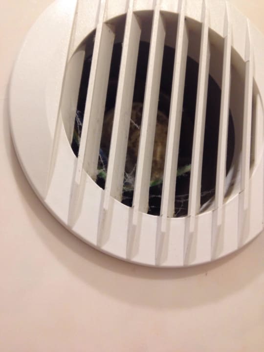 Dreckiger Abzug im Bad Hotel Pension Dettmar