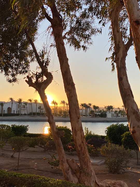 Ausblick Mövenpick Resort & Spa El Gouna