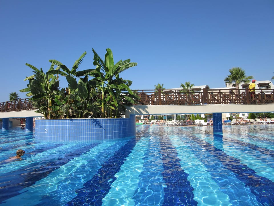 Do wody TUI MAGIC LIFE Jacaranda