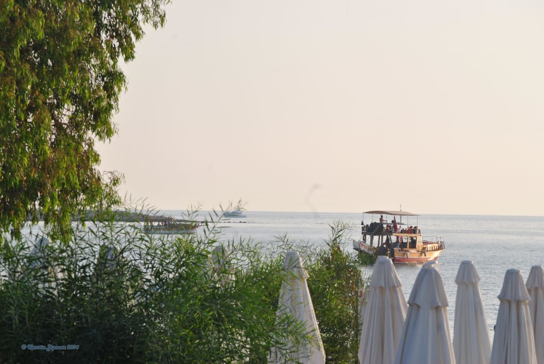 Meerblick Can Garden Beach