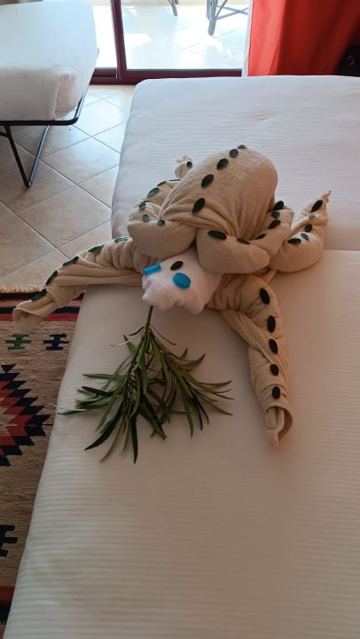 Zimmer Hotel Gorgonia Beach Resort