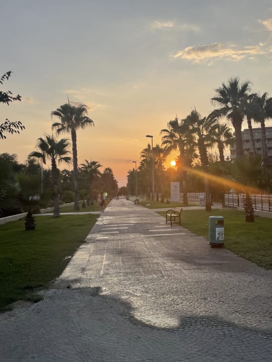 Gartenanlage Hotel Orfeus Park