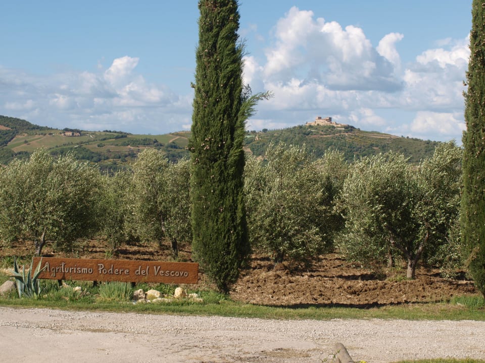 Landschaft Agriturismo Podere del Vescovo