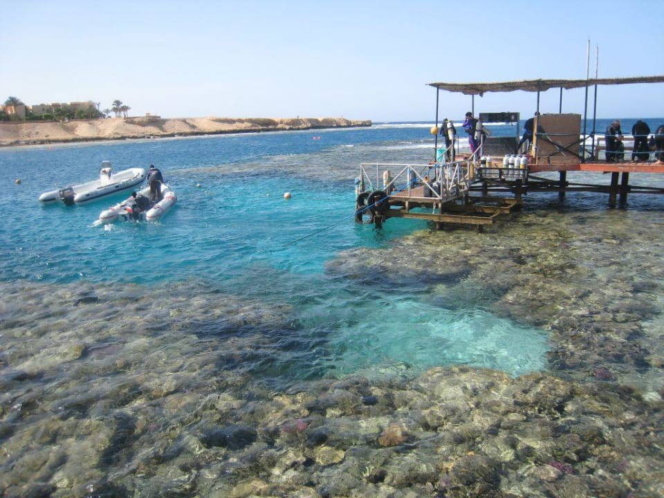 Das Riff... Steigenberger Coraya Beach - Adults only