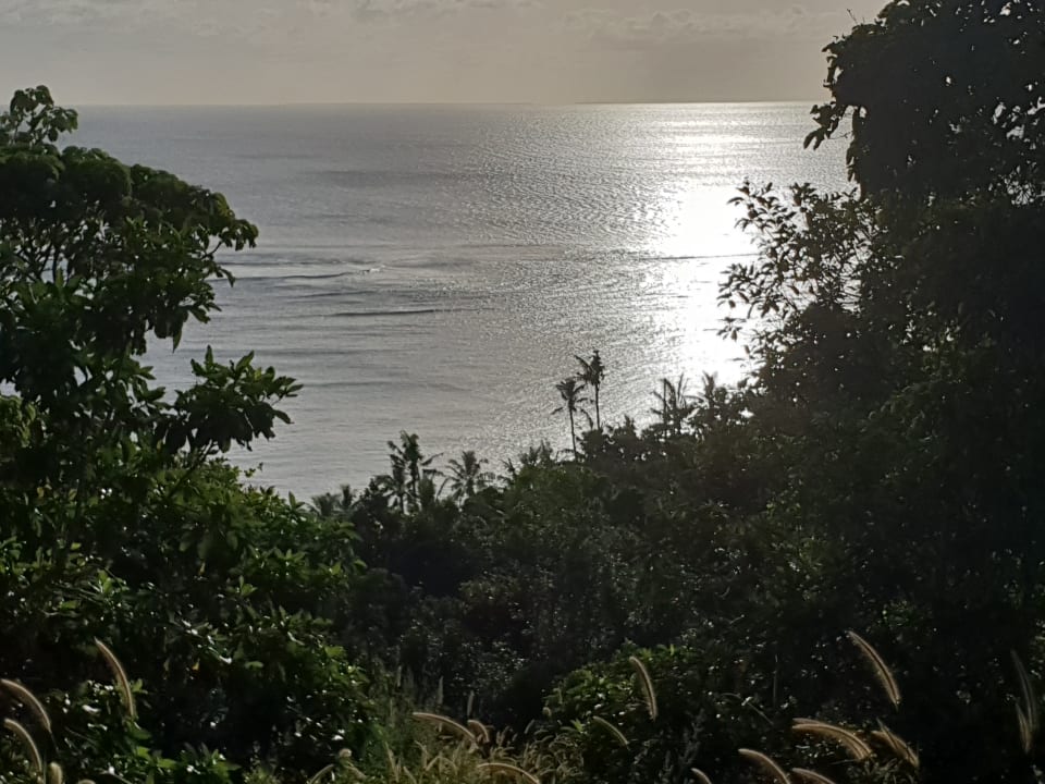 Ausblick Paradise Cove Resort