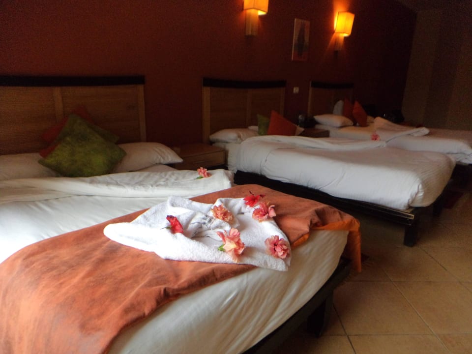 Room Prima Life Makadi Resort