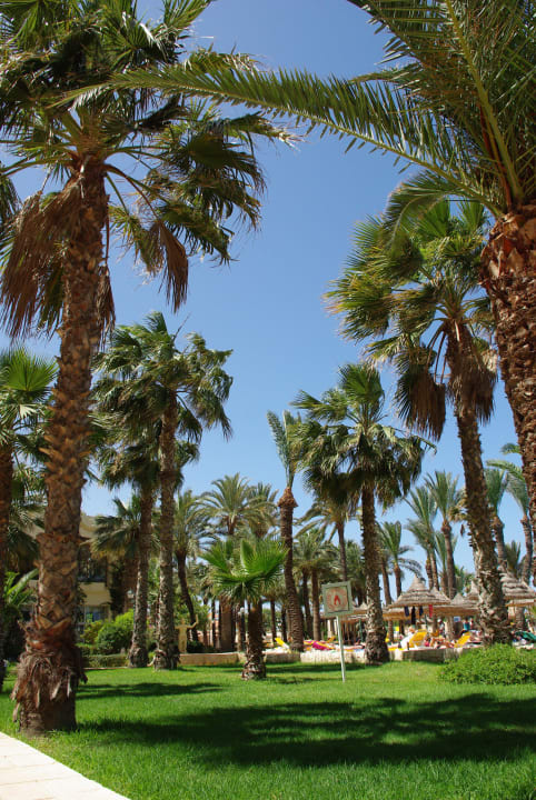 Ogród Riadh Palms Resort & Spa