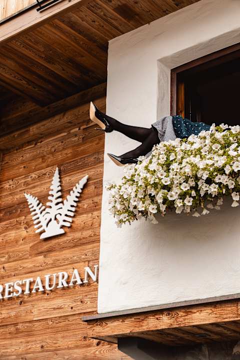 Ausblick Schindler Bed & Food Experience