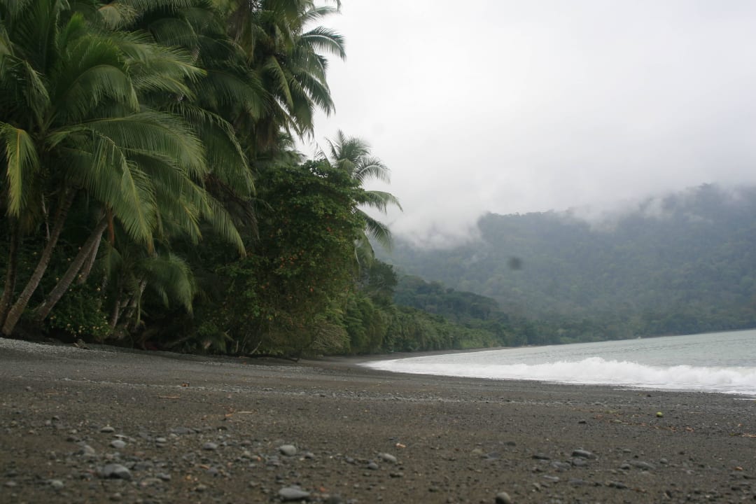 Der Strand und / oder der Regenwald  Playa Nicuesa Rainforest Lodge