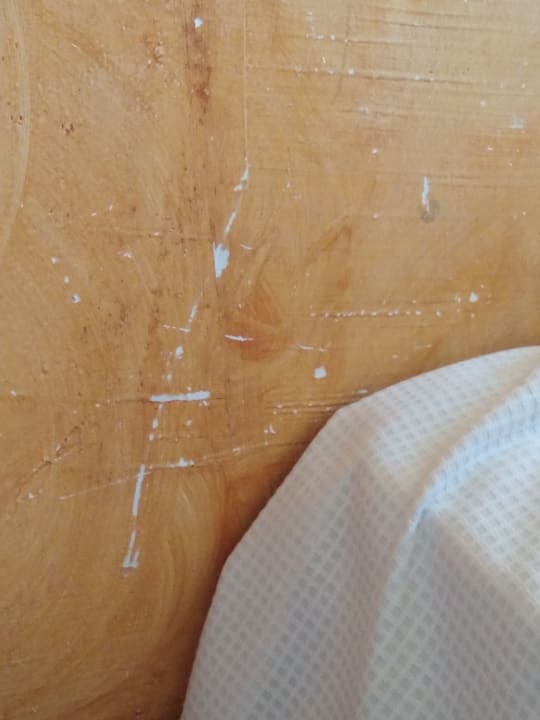 Zimmer Globales Torrenova