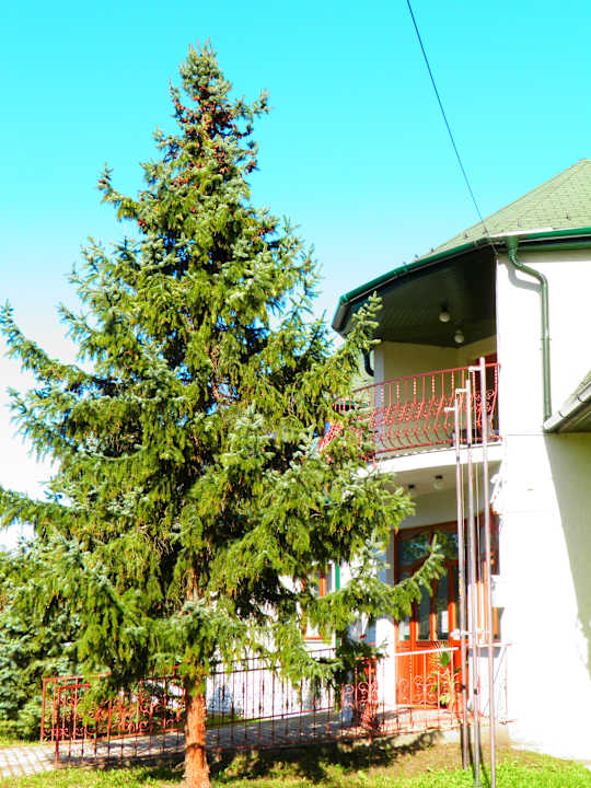 Außenansicht Eden Pension