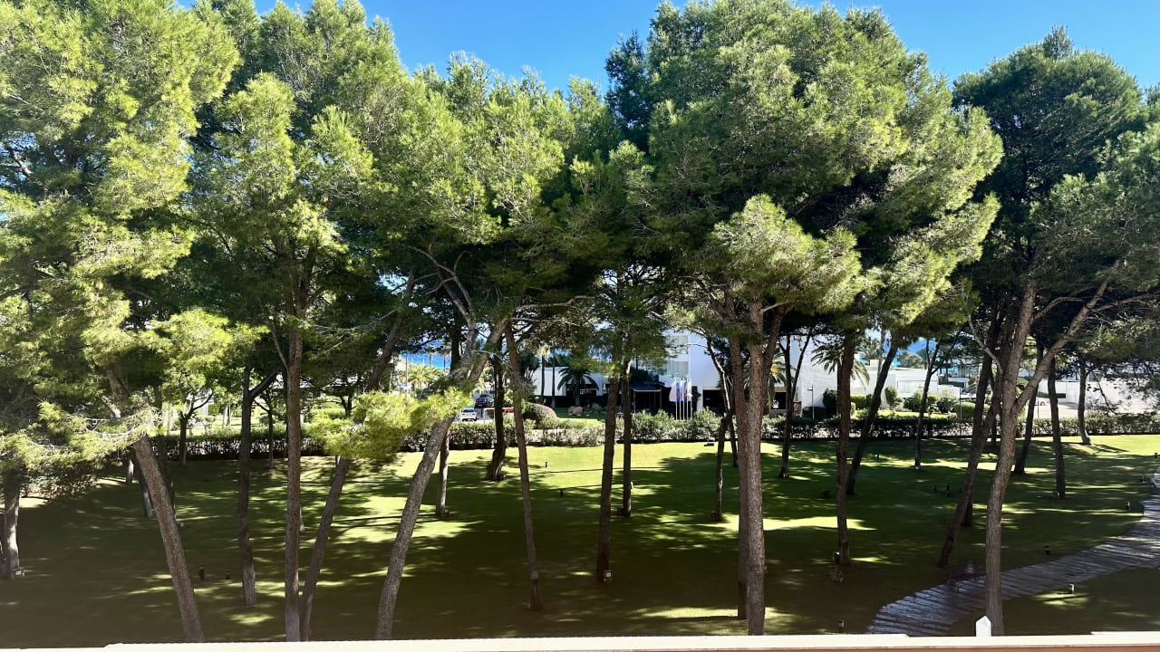 Ausblick Hipotels Hipocampo Palace & Spa