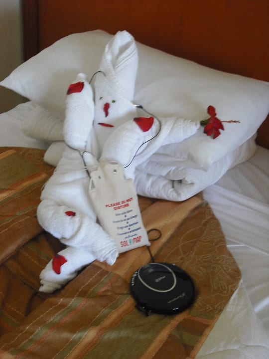 Täglich neue Einfälle vom Roomboy Malikia Resort Abu Dabbab