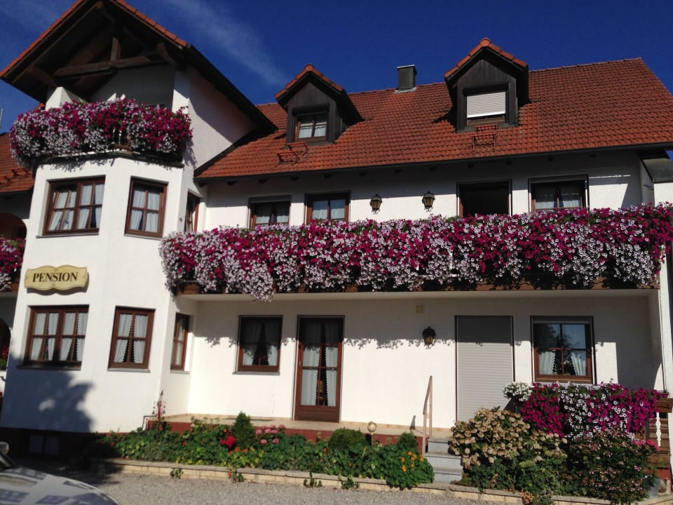 Herrliche Blumen Hotel Straßhof