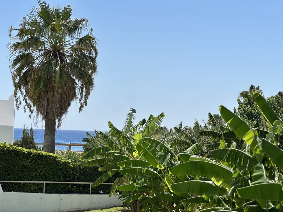 Sonstiges Blue Sea Island