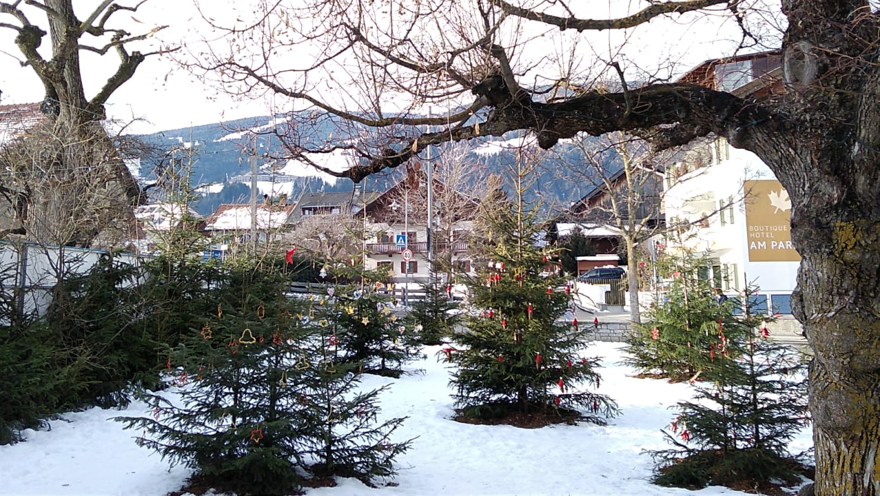Ausblick Hotel Scherer