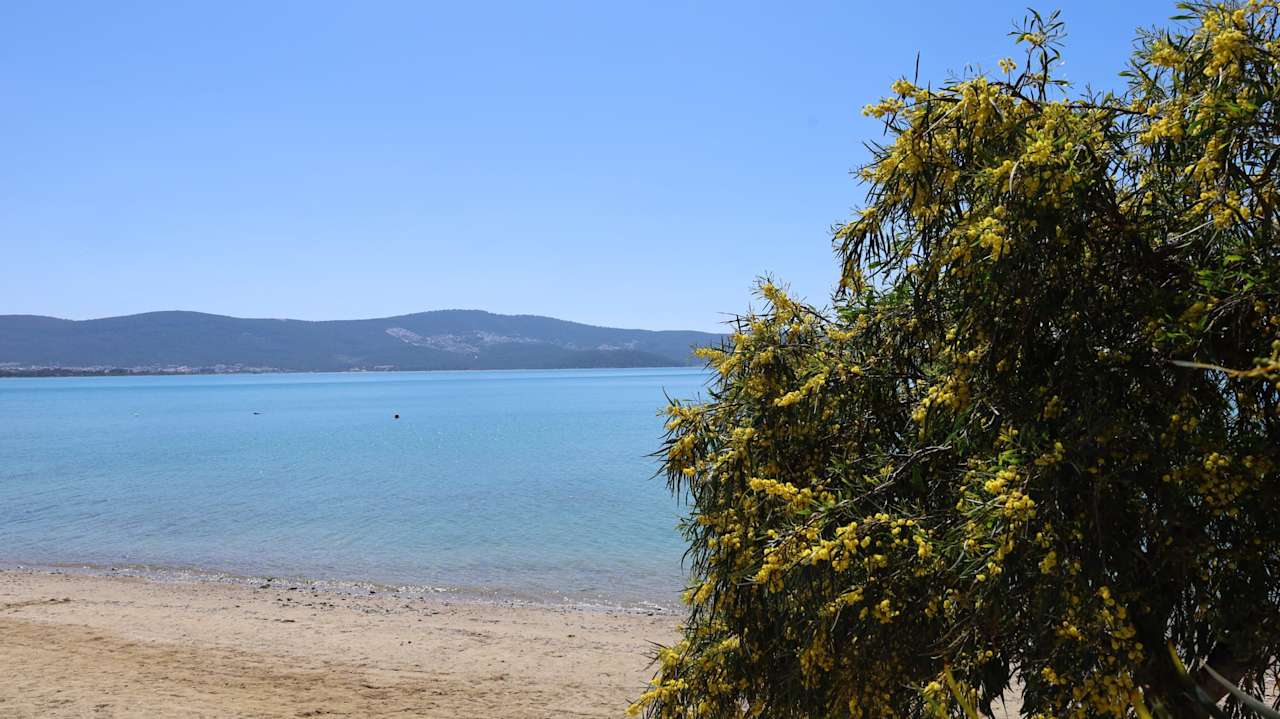 Ausblick Maxeria Blue Didyma