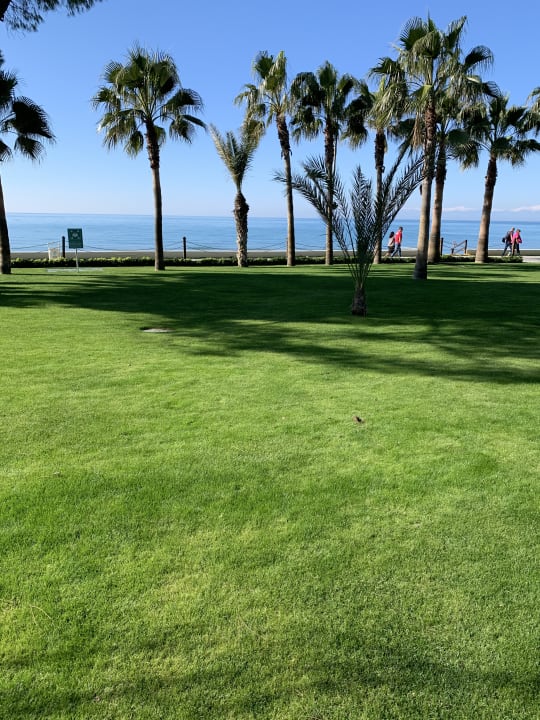 Gartenanlage Acanthus Cennet Barut Collection