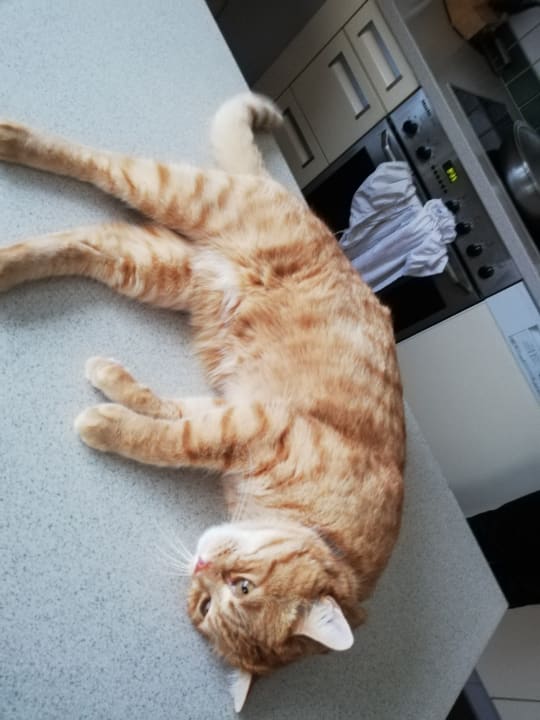 Sonstiges Vizensn Living