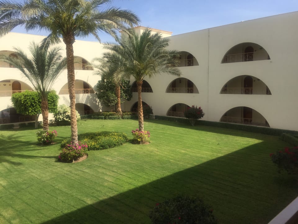 Außenansicht Desert Rose