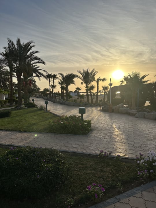 Gartenanlage Shams Safaga Resort