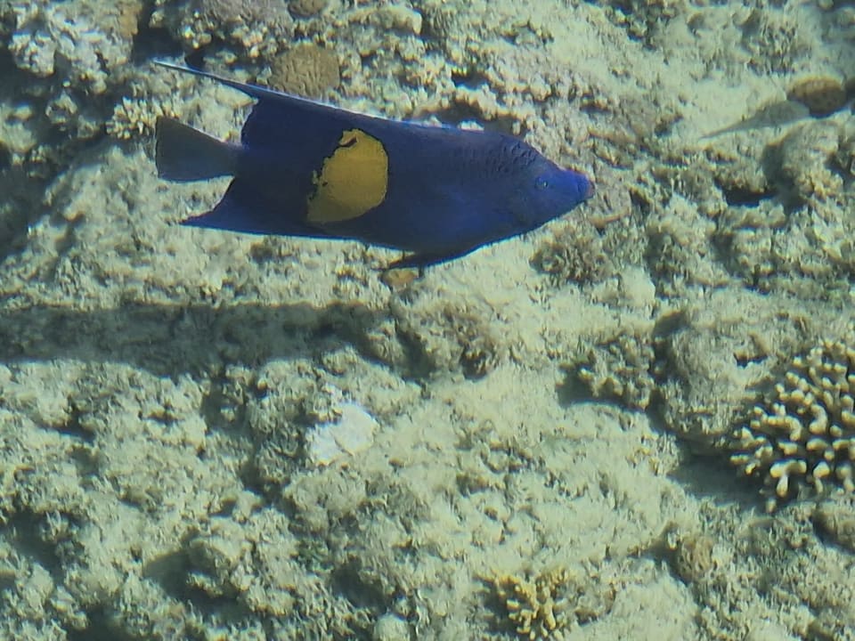 Strand Sultan Bey Hotel, El Gouna