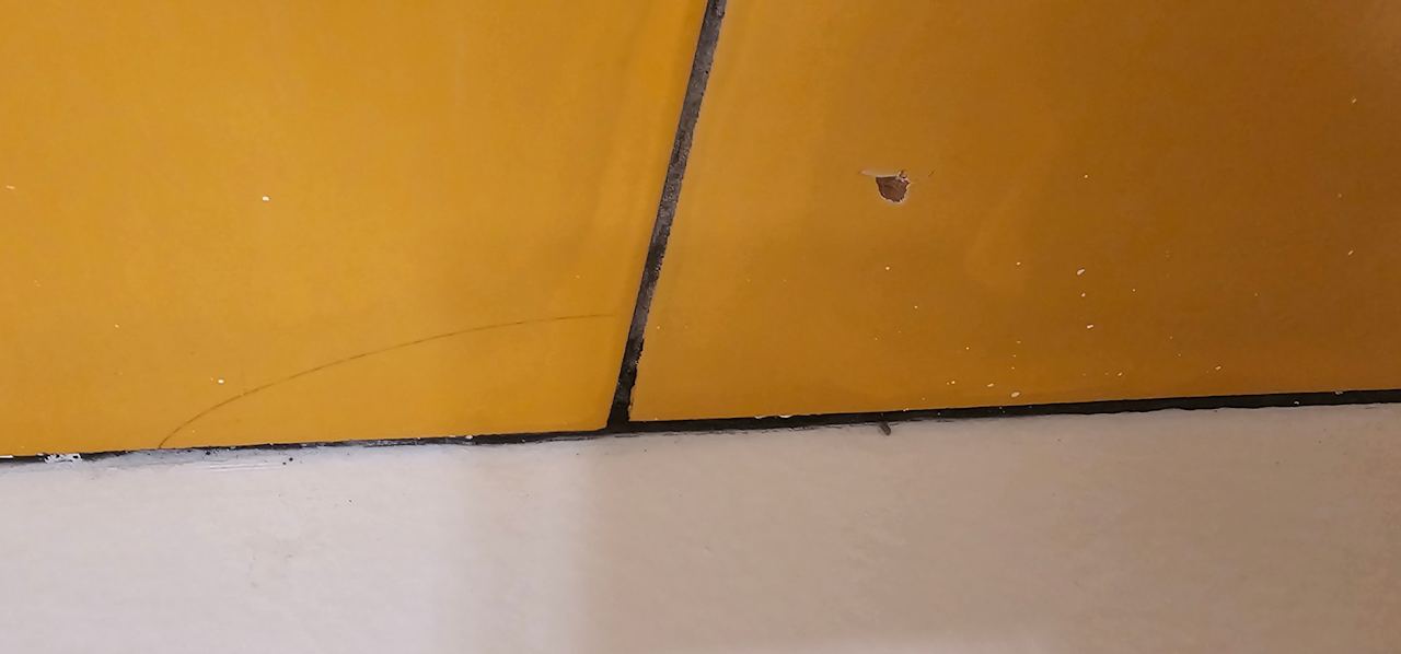 Zimmer Bull Dorado Beach & Spa