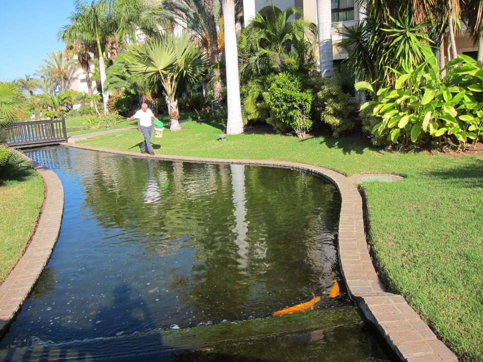 Gartenanlage Gran Melia Palacio de Isora Resort