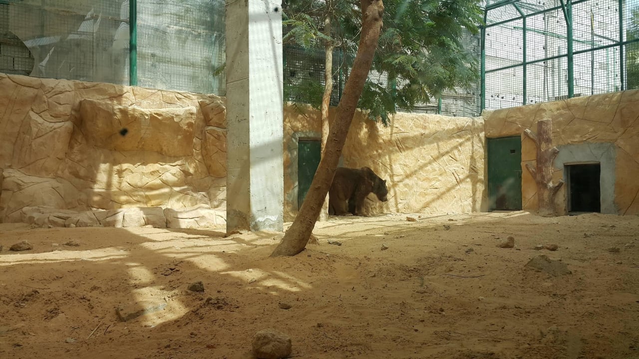 Zoo Hotel Emirates Park Resort