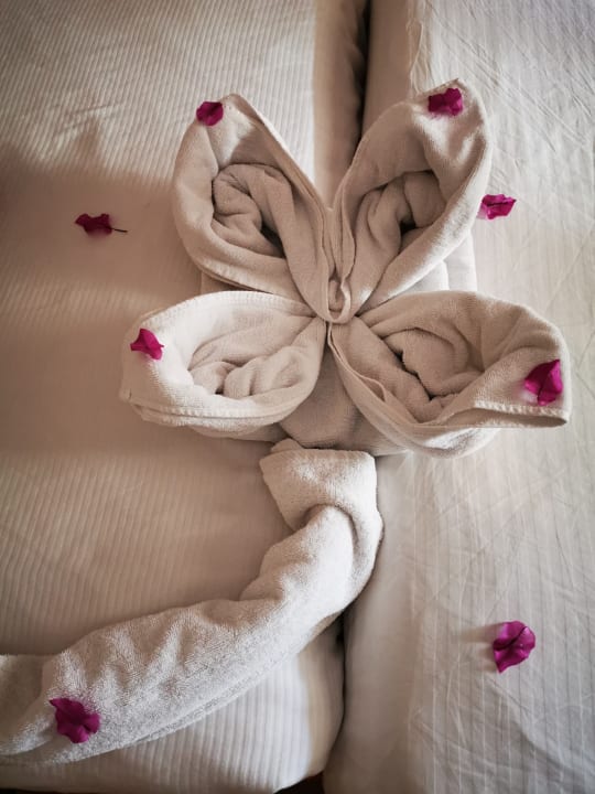 Zimmer Seagull Beach Resort