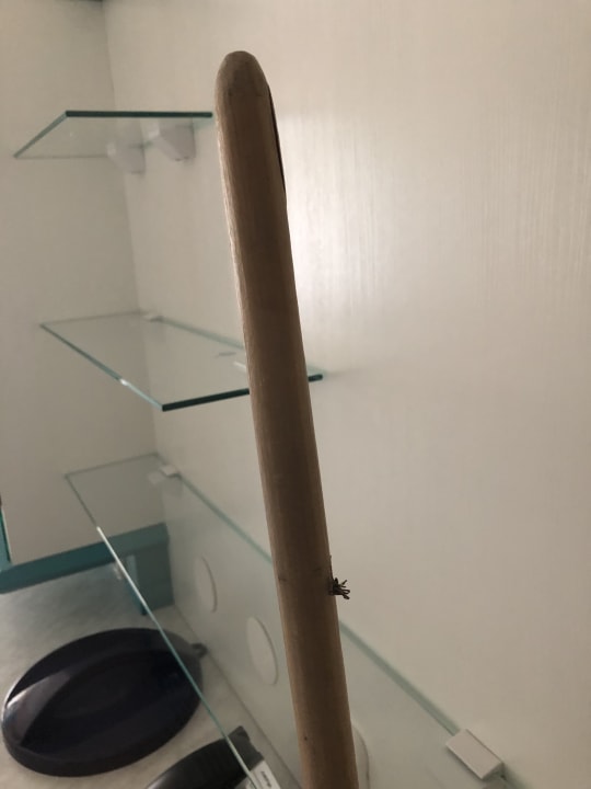 Zimmer Hotel Panorama Wellness & Spa by alpha