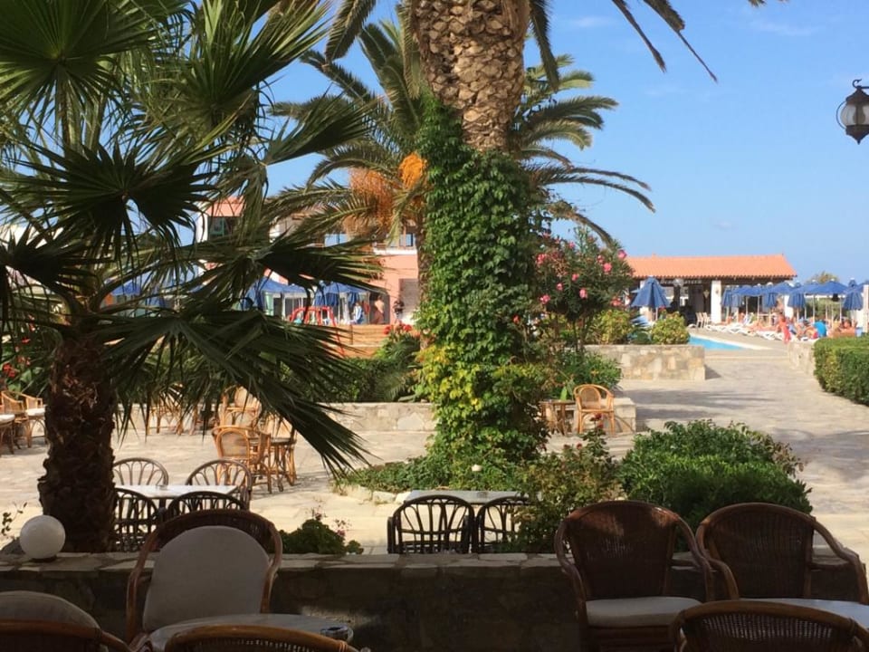 Gartenanlage allsun Hotel Dolphin Bay