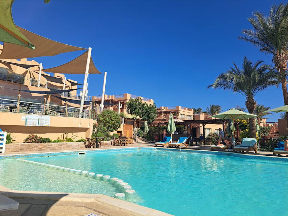 Pool Shams Prestige Abu Soma-Adults Only