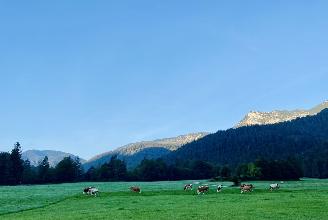 Gartenanlage Bauernhof Wiesenhäusl